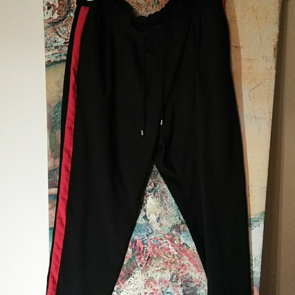 Zara Pants